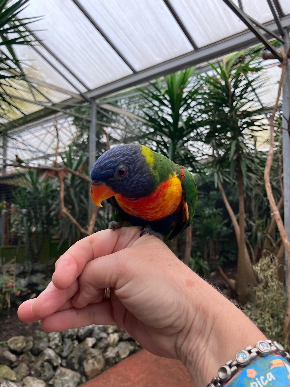 Foto 29 bij artikel "Uitje naar de Orchideenhoeve in Luttelgeest".